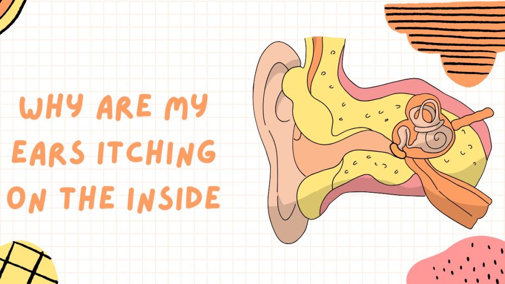 why are my ears itching on the inside